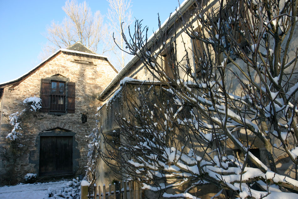 Huis in de winter